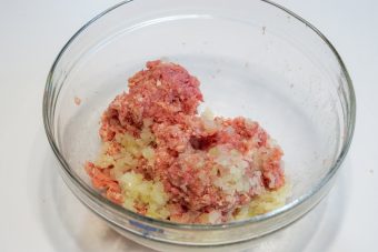 Hamburg Steak