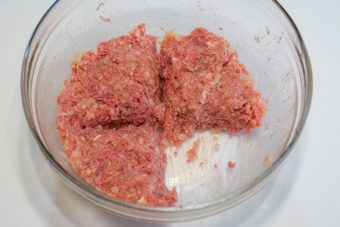 Hamburg Steak